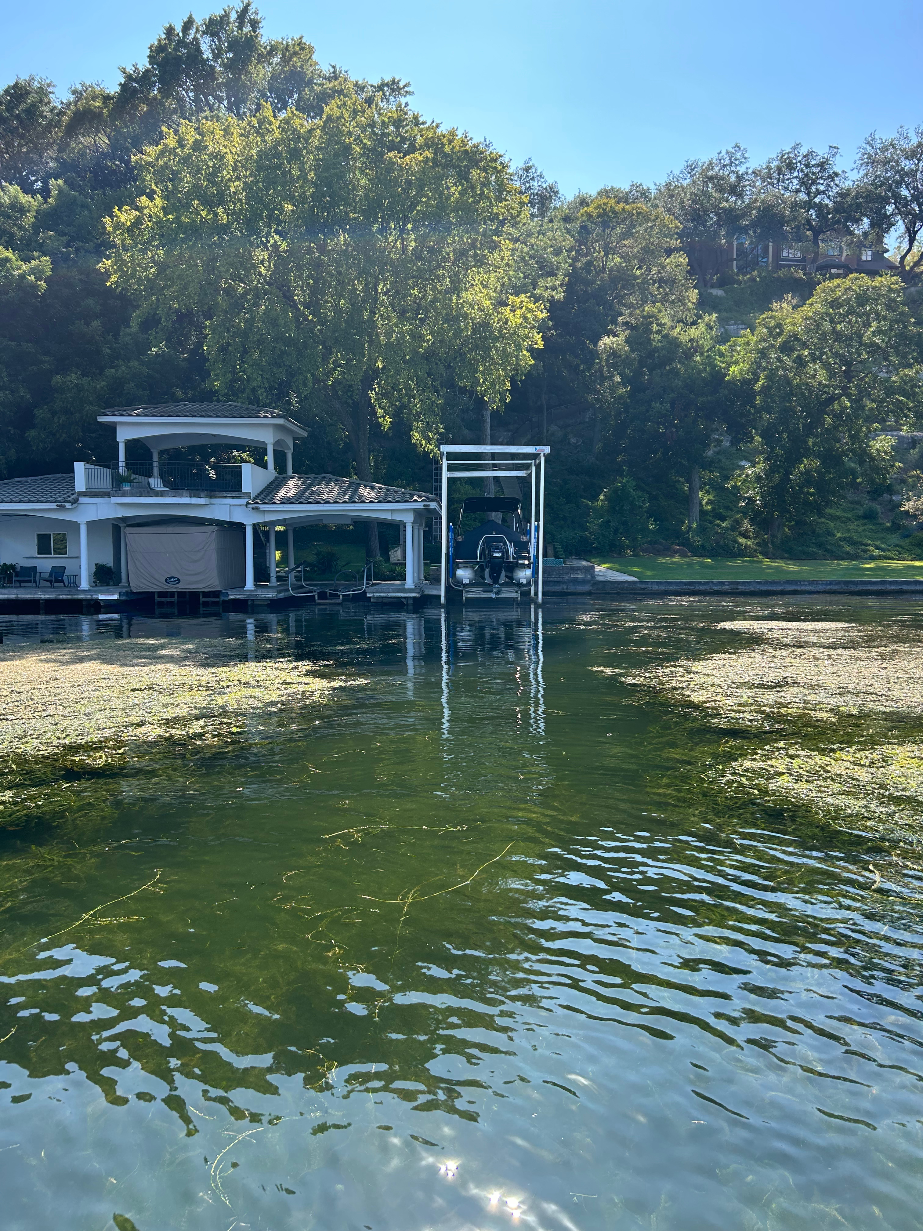 Lake Austin Blue-Green Algae: A Central Texas Homeowner's Guide to Cyanotoxin Identification, Causes, and Dangers