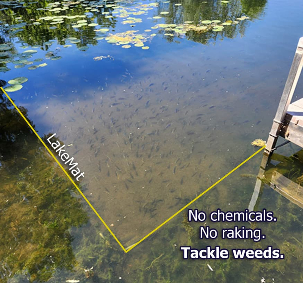 LakeMat product showing how benthic barriers work